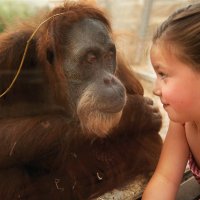 © Zoom Erlebniswelt