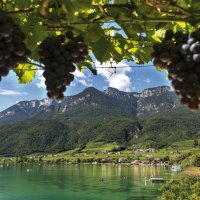 &copy; Tourismusverein Kaltern/Helmuth Rier