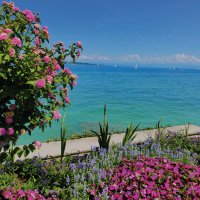 © Susanne - fotolia.com