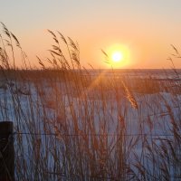 &copy; Inga Langhals-stock.adobe.com