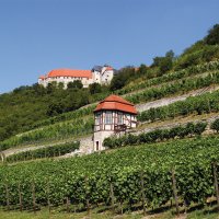 © Saale-Unstrut-Tourismus e.V.