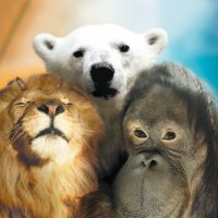 © Zoom Erlebniswelt