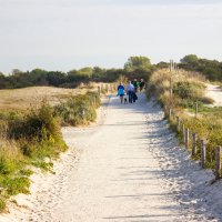 © Mira Drozdowski - stock.adobe.com