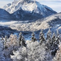 &copy; Stefanie - stock.adobe.com