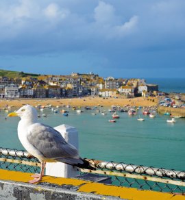  © djama-fotolia.com