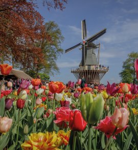  &copy; Keukenhof 