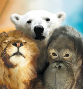  © Zoom Erlebniswelt