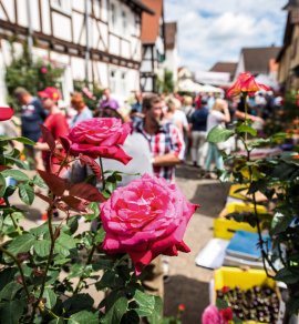 &copy; Bad Nauheim Stadtmarketing und Tourismus GmbH 