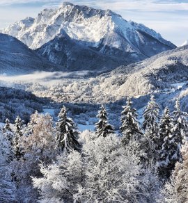  &copy; Stefanie - stock.adobe.com