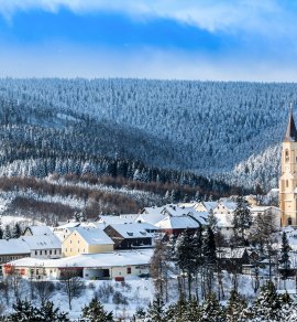  &copy; Animaflora PicsStock - stock.adobe.com