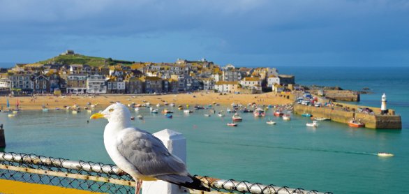 Bucht von St. Ives © djama-fotolia.com