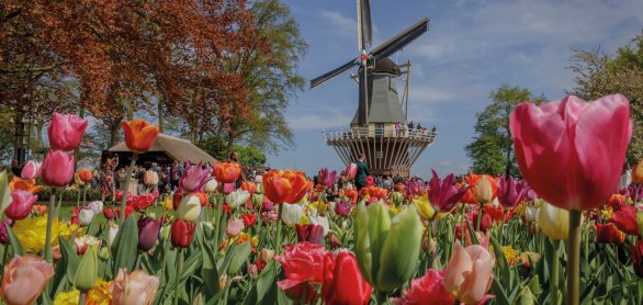 Windmühle auf dem Keukenhof &copy; Keukenhof 