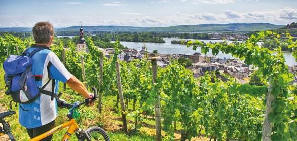 Ausblick von den Weinbergen aus auf Rüdesheim © Rüdesheim Tourist AG