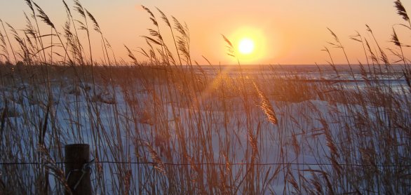 Cuxhaven Strand &copy; Inga Langhals-stock.adobe.com
